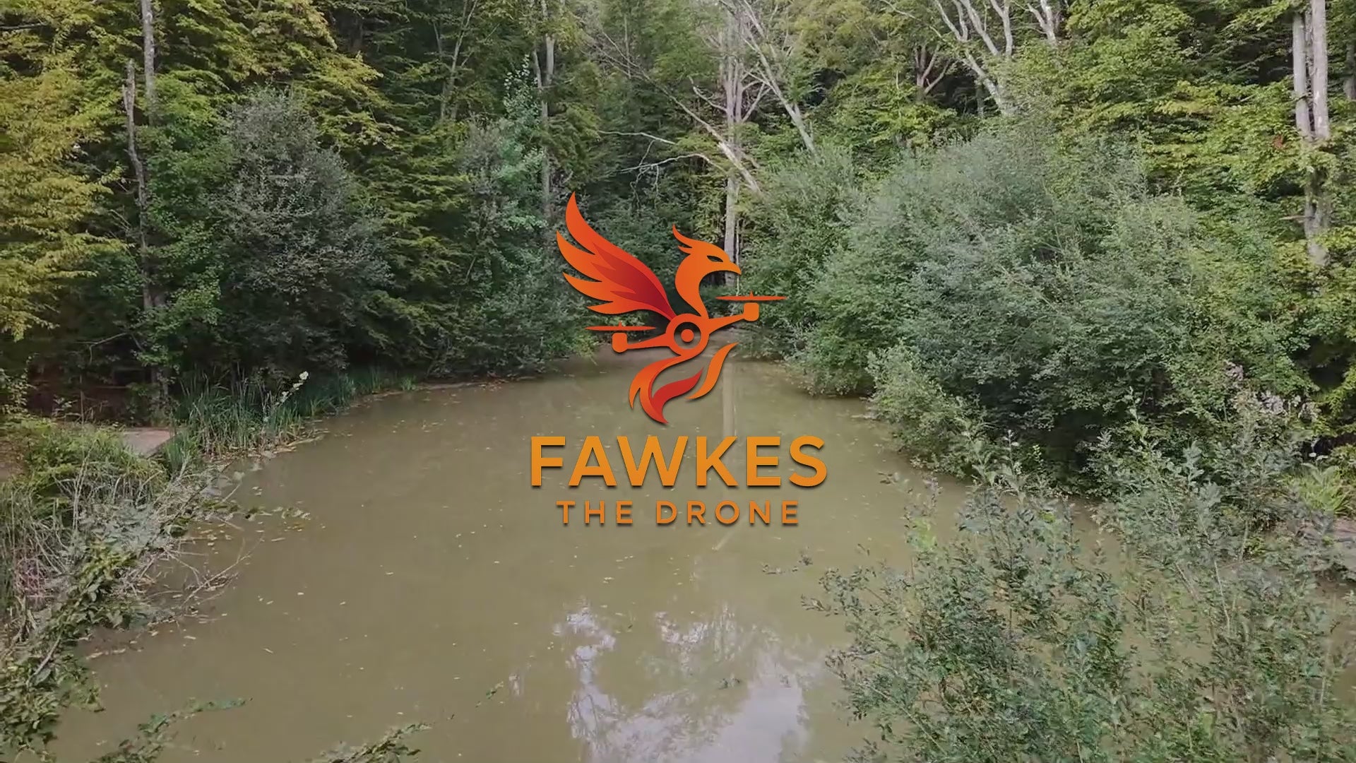 FISHING LAKE AERIAL | 01