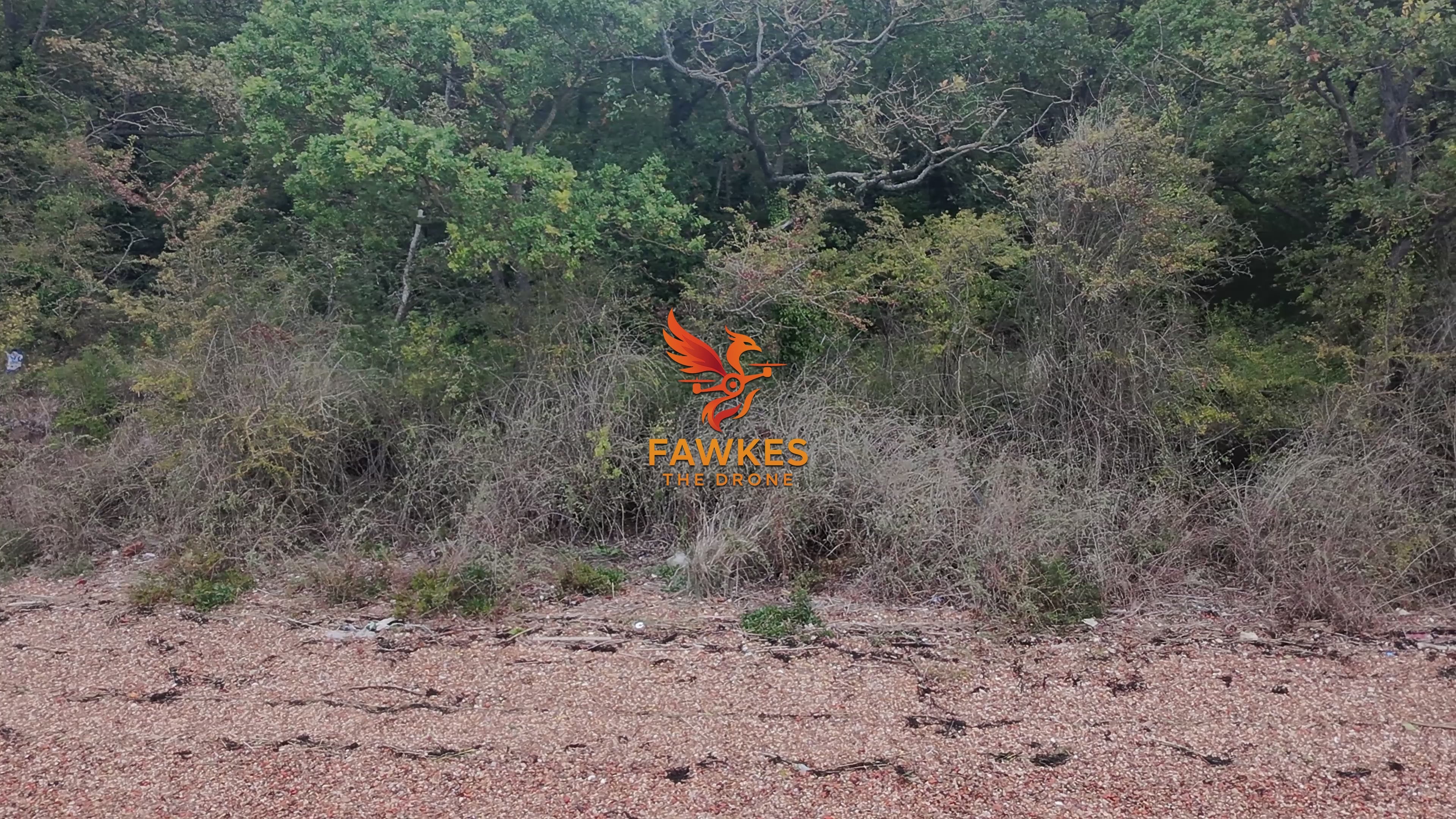 SAXON SHORE WAY  | 05