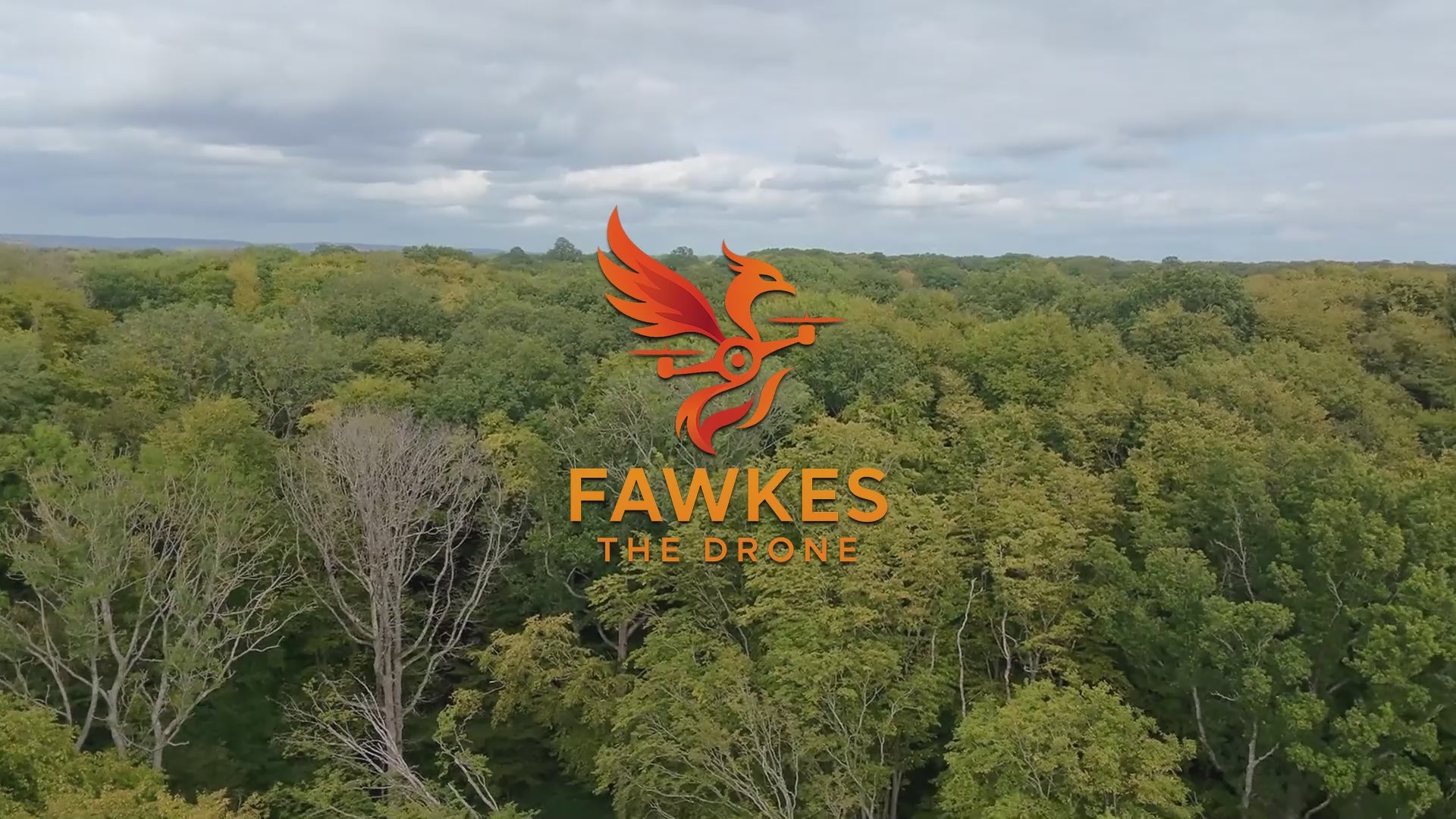 PANORAMIC COUNTRYSIDE | 01