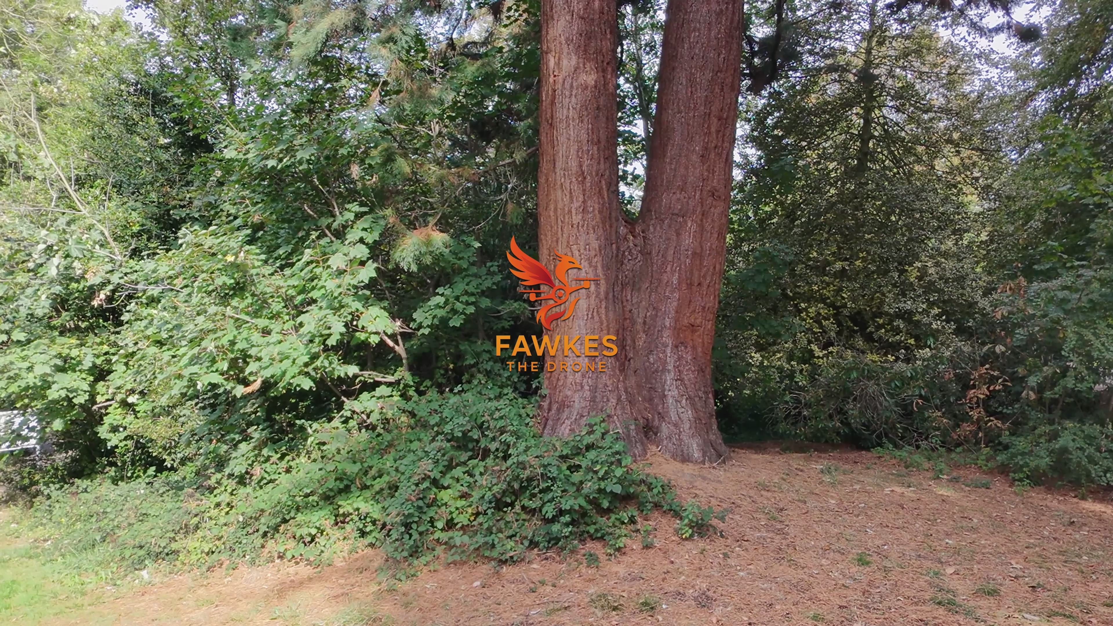 COUVRE PORT RESERVOIR | COLLECTION 1 TO 10