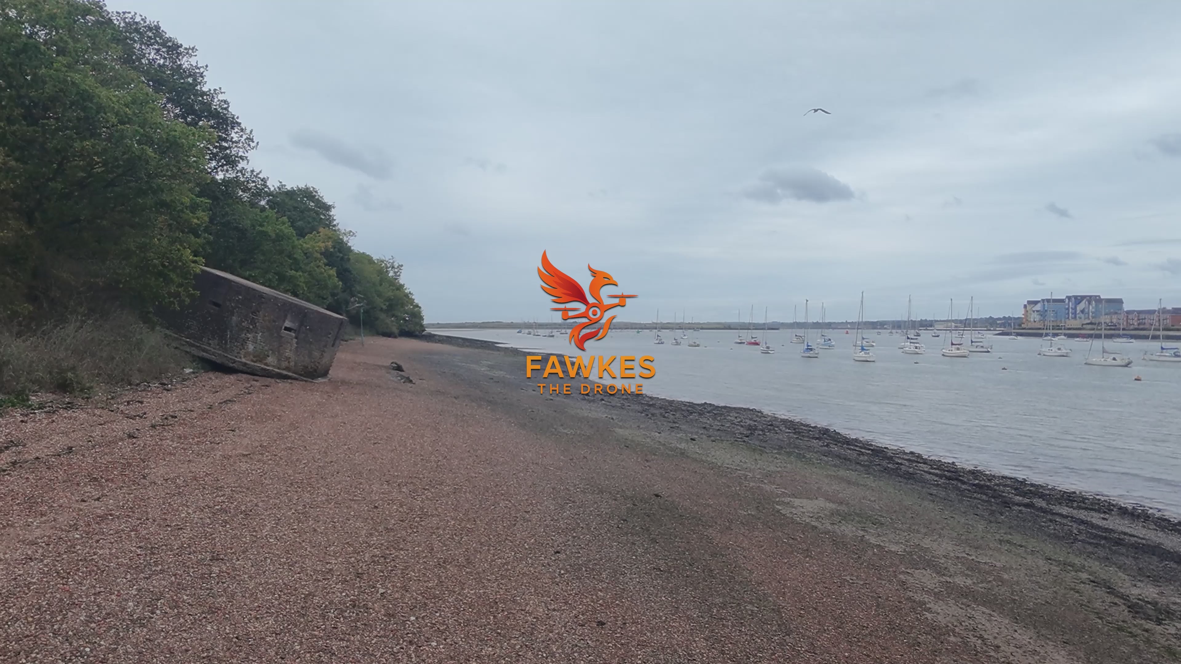 SAXON SHORE WAY | COLLECTION 1 TO 13