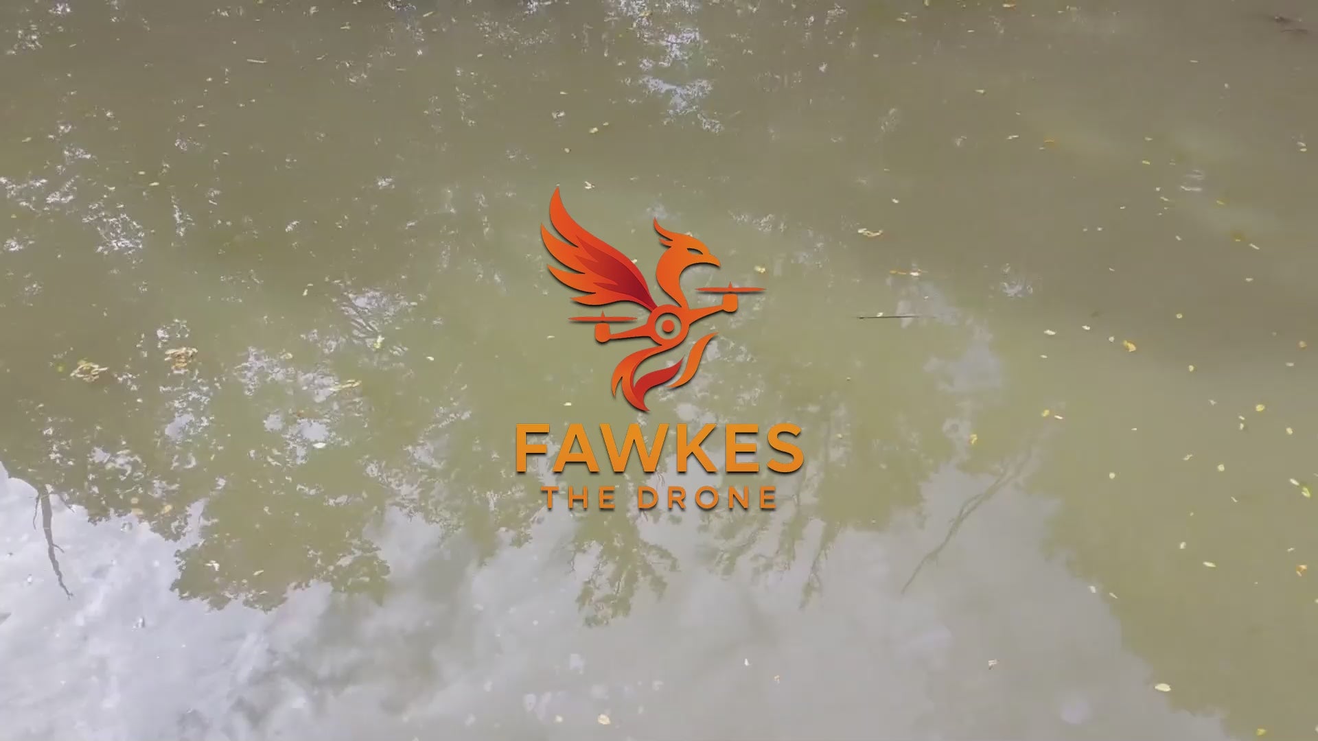 CARP ON THE SURFACE | 01