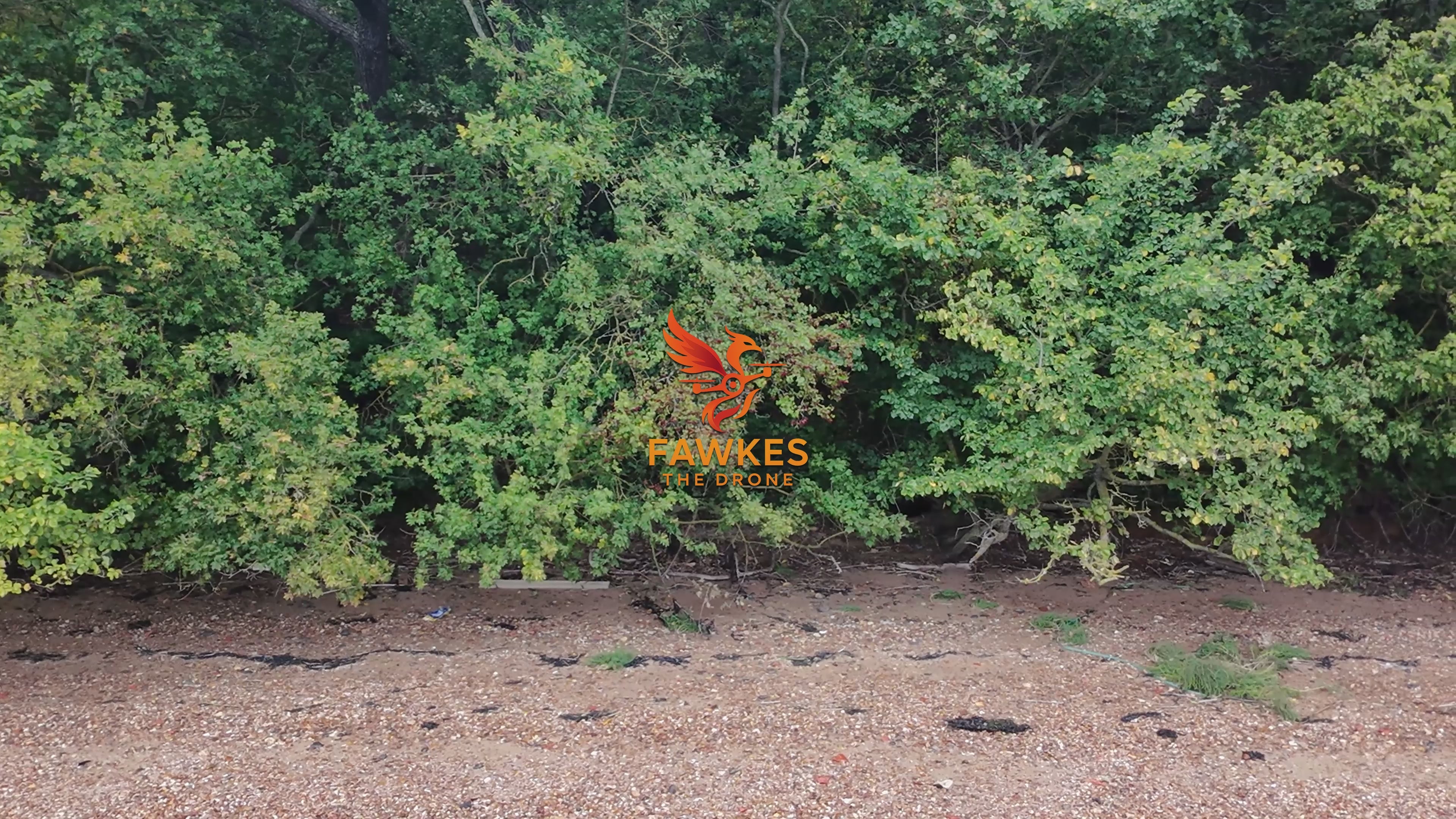 SAXON SHORE WAY | COLLECTION 1 TO 13